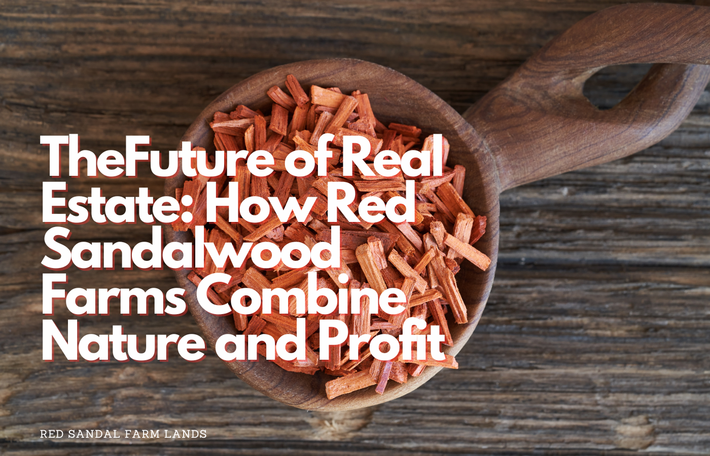 Why Red Sandalwood is Called ‘Red Gold’: A Valuable Asset for Investors